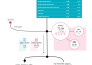 provide expert data visualization services with looker studio